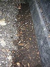 en bas du composteur : le compost form